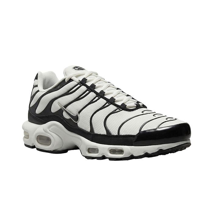 Кроссовки Nike Air Max Plus FV6264-001